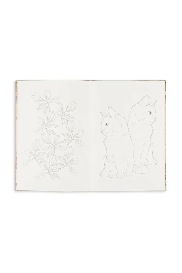 Libër Ngjyrosje & Stickers - House of Flowers - Figura 4